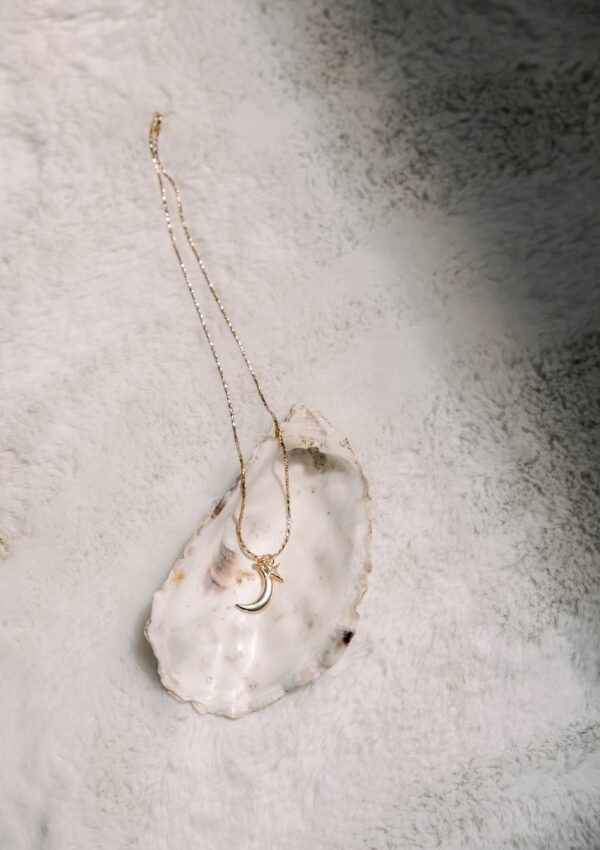 New Moon Ritual- To Manifest your Dreams