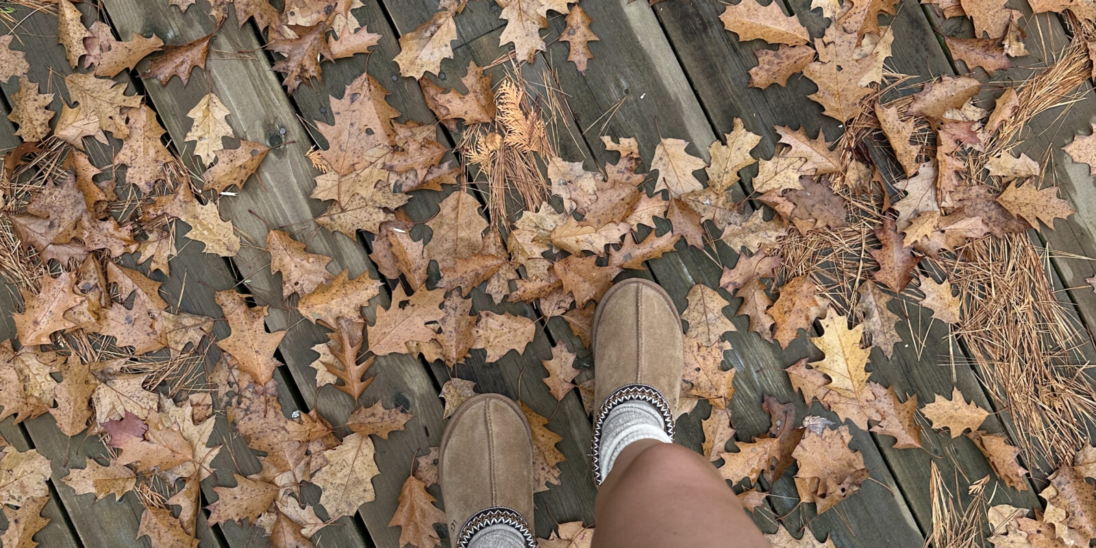 Fall Routine Reset: Align With The Seasonal Shift