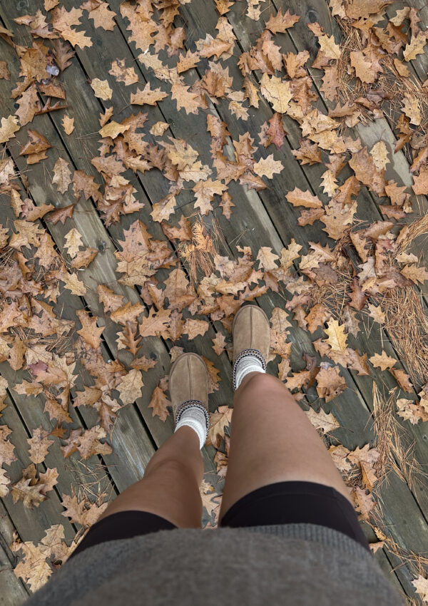 Fall Routine Reset