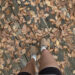 Fall Routine Reset